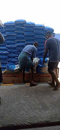 RICE EXPORT
