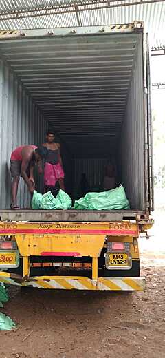 COCONUT EXPORT