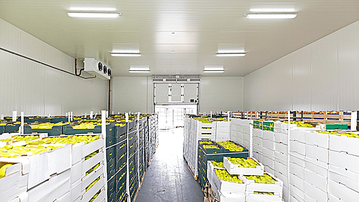 COLD STORAGE