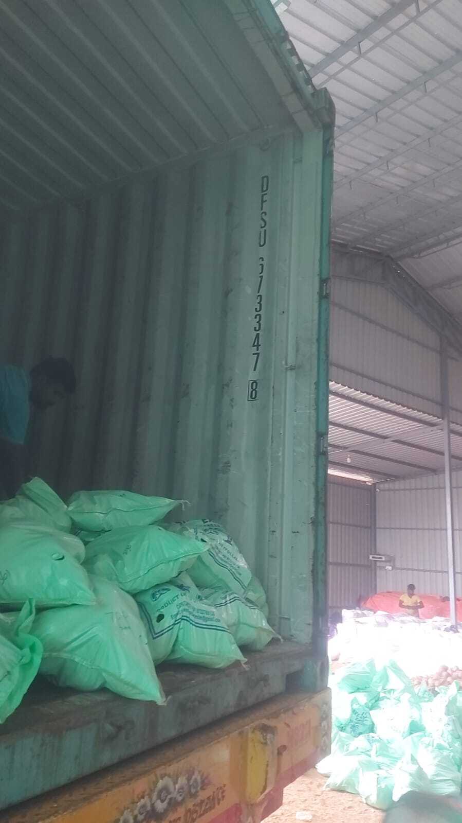COCONUT EXPORT TO UAE