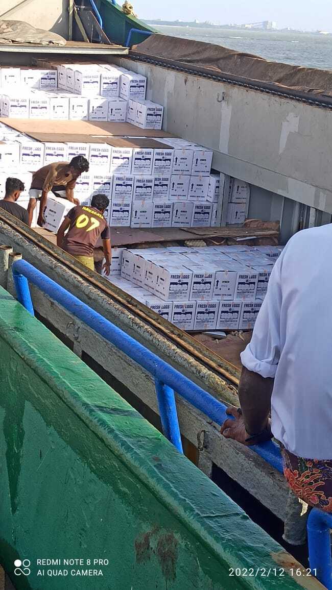 EGG EXPORT TO MALDIVES